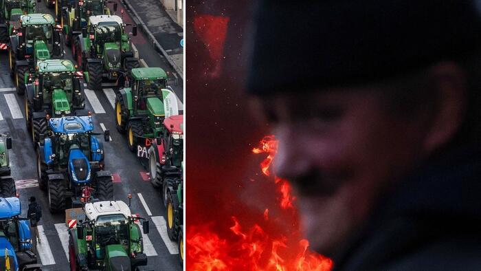 Chaos Erupts In Brussels As Rubber Bullets Fired At Farmers Protesting Outside EU Parliament