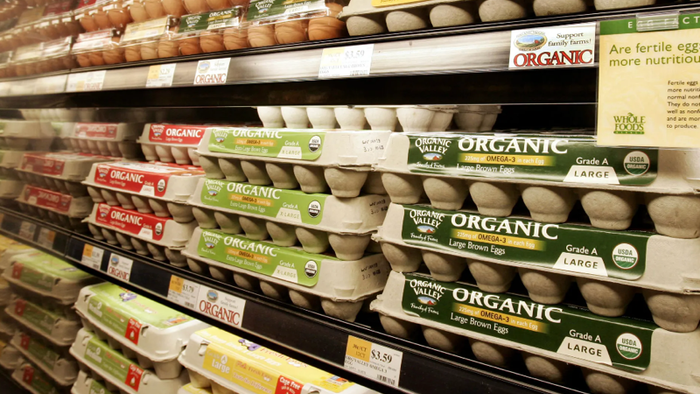 NextImg:Time For A Backyard Chicken Coop? Supermarket Egg Prices Soaring Once-Again
