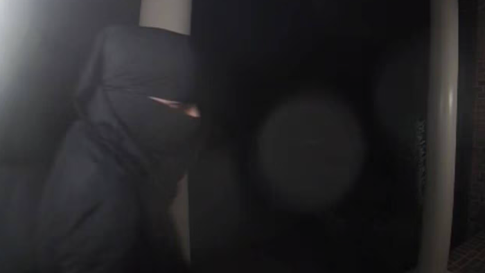 NextImg:South American Gangs Target Mansions In Baltimore As Biden's Border Crisis Spreads Chaos 