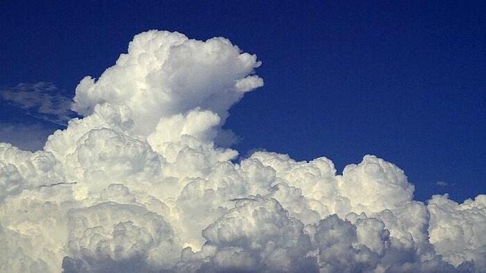 NextImg: Emissions Are Not A Material Risk To Investors Or Companies, SEC’s Climate Disclosure Rule Is