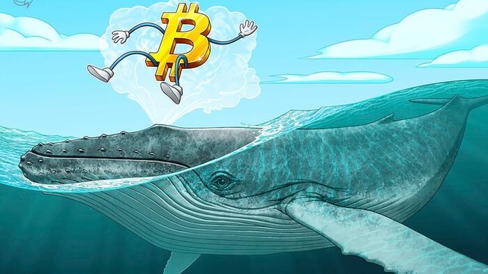 NextImg:Who Is "Mr. 100"? Mysterious Bitcoin Whale Becomes 14th Biggest BTC Holder
