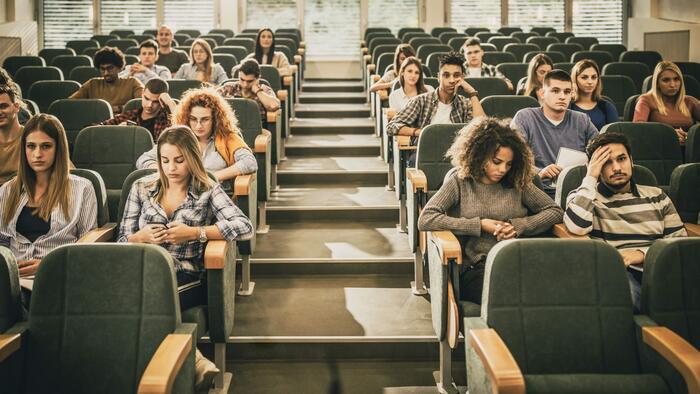 NextImg:From Enlightenment To Ignorance: Society's Dangerous Embrace Of Stupidity