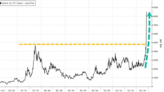 NextImg:"Everyone Is Panicking": Major Cocoa Processor Scrambles To Find Beans As Prices Hyperinflate