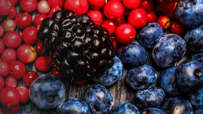 NextImg:Resveratrol: A Powerful Polyphenol That Slows Cellular Aging