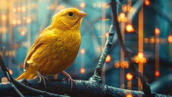 NextImg:Peter Schiff: Gold Is The Canary In The Economic Coal-Mine
