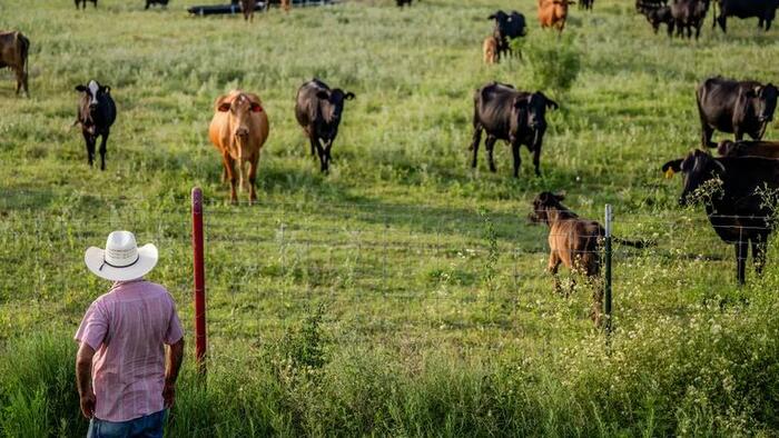 NextImg:Experts Warn Mass Migration Threatens US Food Security