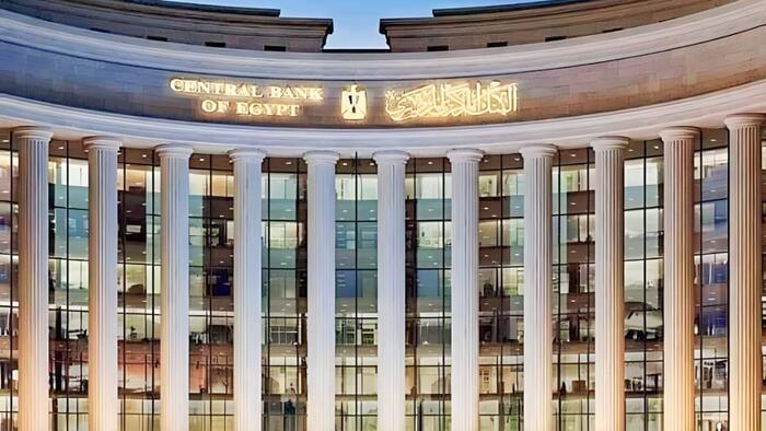 NextImg:As Egypt Implements Massive Devaluation Of Currency, Sending Pound Tumbling, Unrest & Instability On Horizon