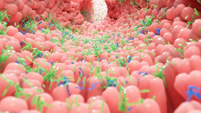 NextImg:Alteration Of Gut Microbiota Affects The Severity And Complications Of COVID-19