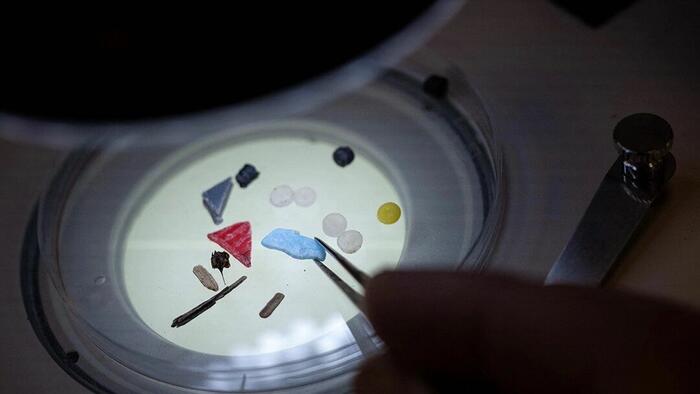 NextImg:Scientists Discover Toxic Microplastics In Every Human Placenta Tested In Study