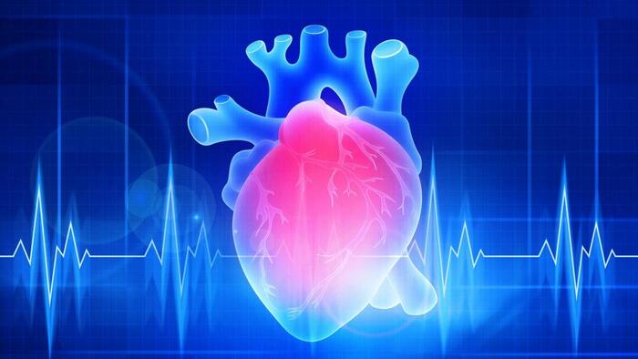 NextImg:Far More Complex Than Fat: What Is Causing Heart Disease?