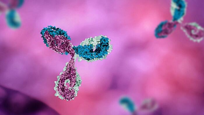 NextImg:Those Who Are 'Vaxxed And Boosted' May Have 'Immune Imprinting' That Ignores New Jabs