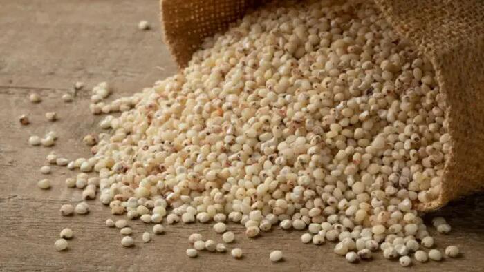 NextImg:Sorghum: The Ancient Grain For Modern Health