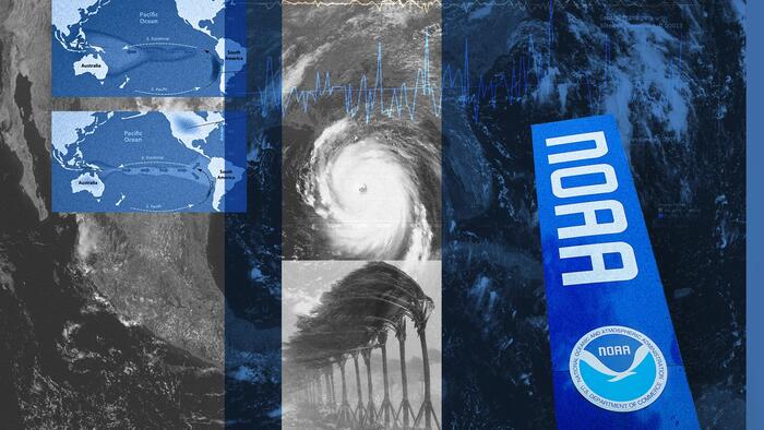 NextImg:'There's Been No Increase': Scientists Debunk Climate Change Claims About Hurricanes