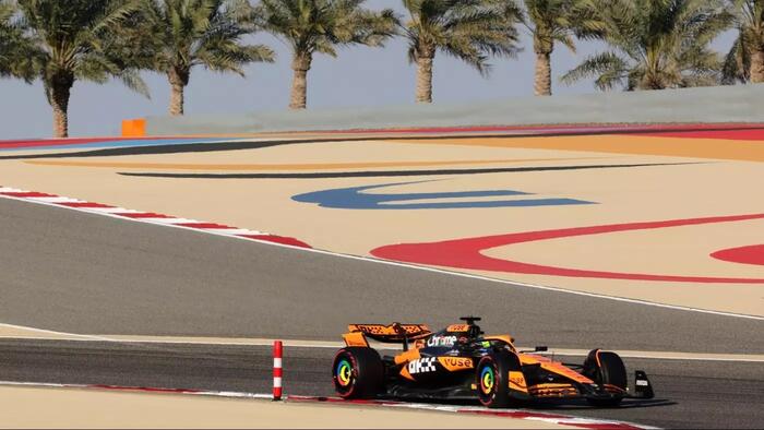 Bahrain Opposition Activist Arrested For Criticizing McLaren Ownership - Vimarsana News