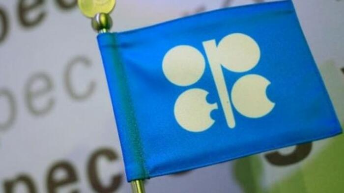 NextImg:OPEC+ Extends Oil Output Cuts Through Mid-Year In Bid To Further Boost Price