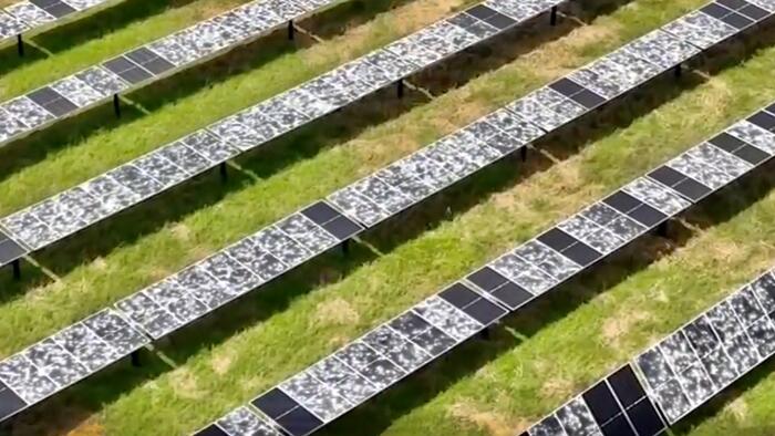 NextImg:Green Energy Beaten Black And Blue: Video Shows Massive Hail Damage To Texas Solar Farm