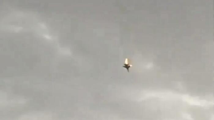 NextImg:Watch: Russian Su-35 Jet Reportedly Shot Down Over Crimea