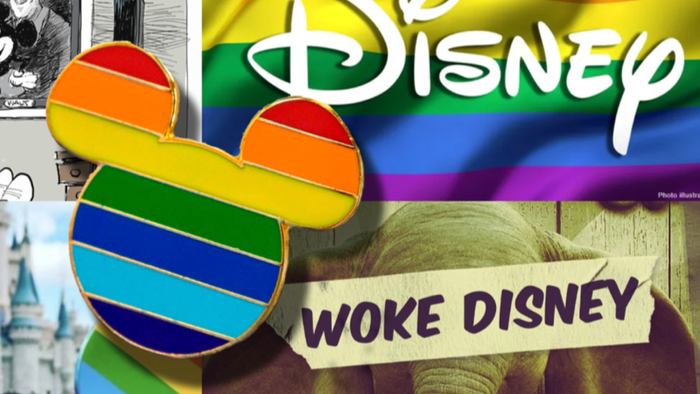 NextImg:Disney Reportedly Has Votes To Defeat Peltz's Trian In Proxy Fight; Musk Throws Support Behind Activist Investor