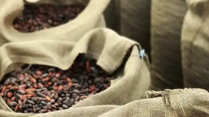 NextImg:Cocoa Prices Hit New Record High As Talks In Ghana Suggest Delayed Deliveries Of Beans