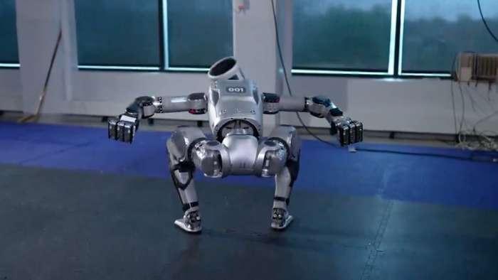 NextImg:"We Promise This Is Not A Person In A Bodysuit"