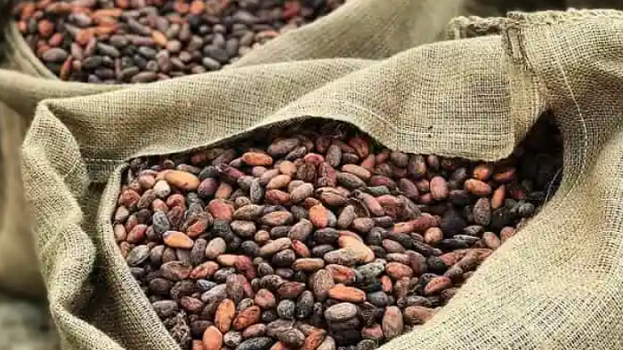 NextImg:Cocoa Hyperinflation Accelerates As Grindings Show No Demand Destruction