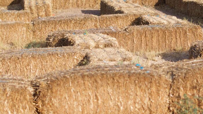 NextImg:Conservation Funding Helps Keep Family Farms Viable