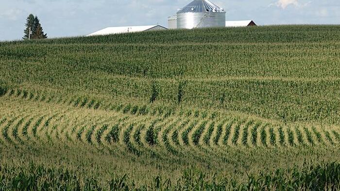 NextImg:China Ditches US Farmers For Brazilian Ones In Protest Of Land Ownership Rules