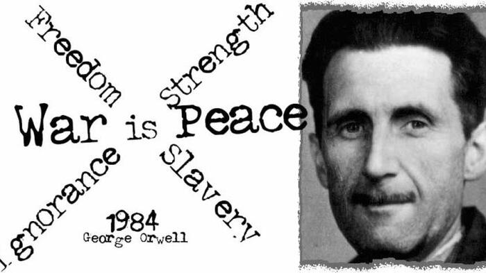 NextImg:The Purpose Of War According To George Orwell (1984)