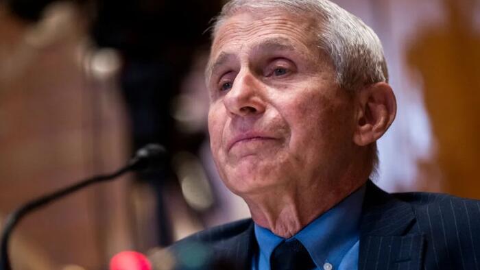 NextImg:New Report Details Horrifying Cost Of Fauci's Failures