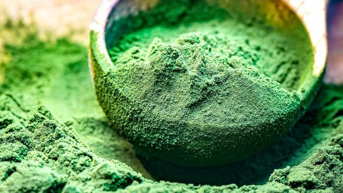 NextImg:Spirulina Significantly Reduces COVID-19 Mortality: Study