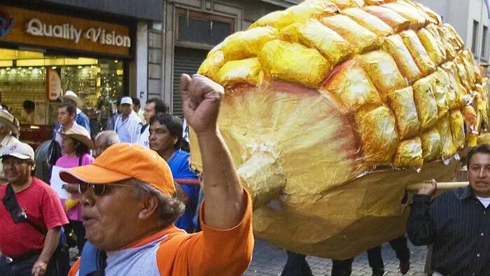 NextImg:The US-Mexico Dispute Over GM Corn Safety Could Transform American Agriculture