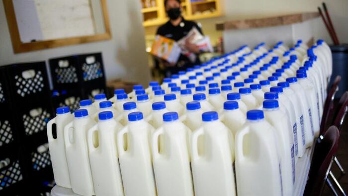 NextImg:Early Tests Find Pasteurization Killed Bird Flu In Milk: FDA