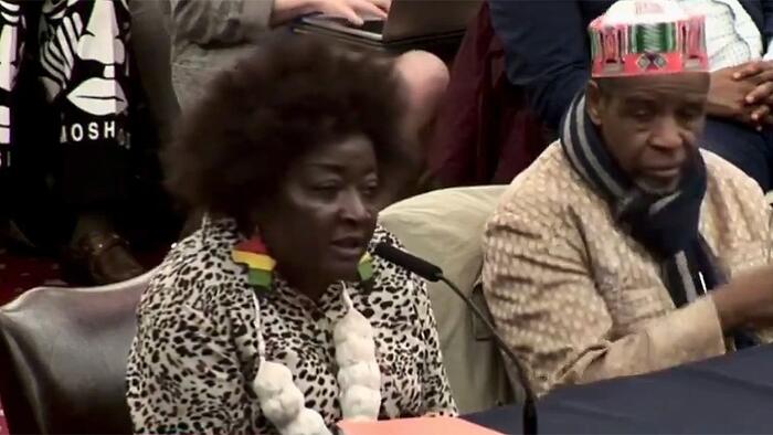 NextImg:Watch: Migrants Complain That New Yorkers Don't Learn African Languages