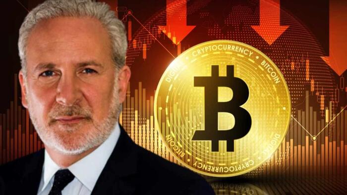 NextImg:With 'Halving' Imminent, Peter Schiff Says 'Bitcoin Has No Value'