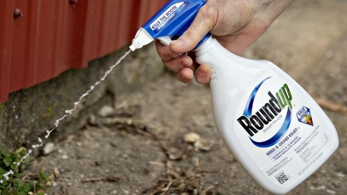 NextImg:Judge Reduces Roundup Verdict Against Bayer From $1.5 Billion To $550 Million