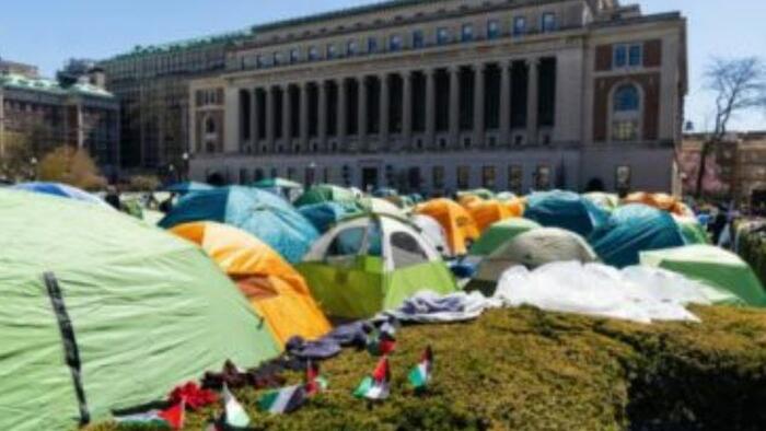 NextImg:Elite Colleges More Likely To Have Tent-Cities, Research Confirms