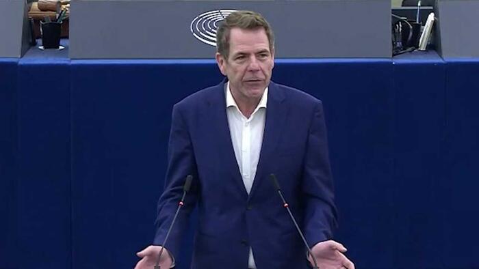 NextImg:Top MEP Warns Europe Risks Becoming "A Second Arabia Or Africa"