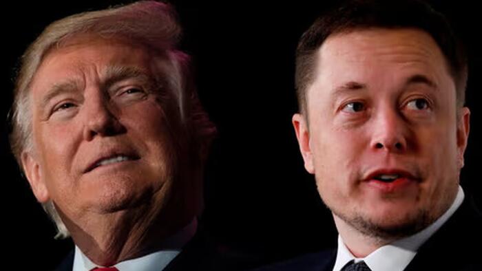 NextImg:Trump And Musk Discussing Advisory Role In Next Administration: Report
