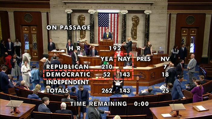 NextImg:143 Democrats Voted Against Bill Barring Non-Americans Voting In DC Elections