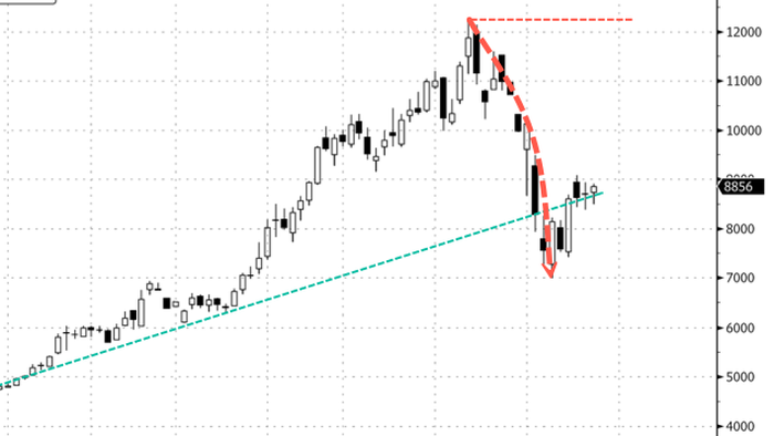 NextImg:After Cocoa Crash, Rabobank Says Bull Rally Likely Peaked