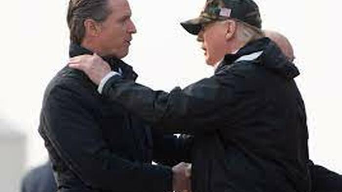 NextImg:"If Mr. Trump Is Hitler, Think Of Newsom As Godzilla With Hair Gel..."