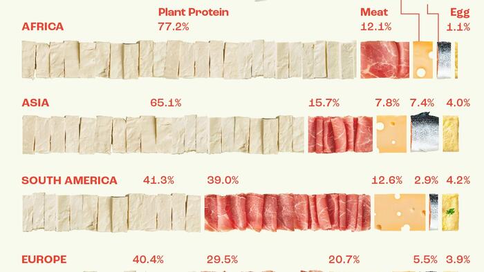 NextImg:Visualizing Daily Protein Sources By Region