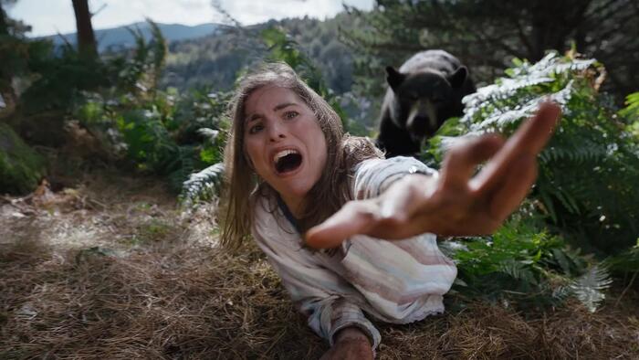 NextImg:Man vs Bear Debate: The Dumbest Feminist Argument Yet?