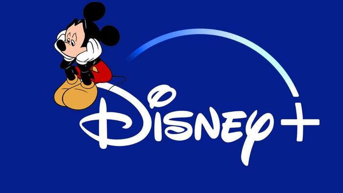 NextImg:Disney Shares Plunge Most In Year On Subscriber Miss, Disappointing Guidance