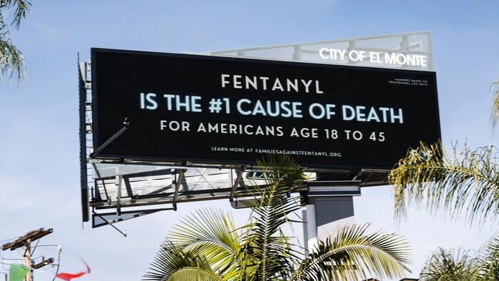 NextImg:A Deep Dive Into The Opioid Crisis
