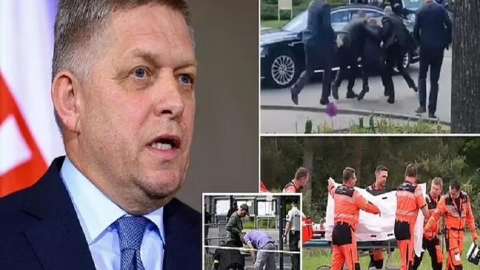 NextImg:The Assassination Attempt Against Robert Fico Proves That Fake News Can Radicalize People