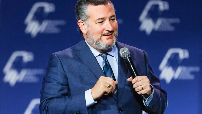NextImg:Sen. Cruz Urges DOJ, FBI To Investigate Whether Foreign Adversaries Are Behind Gaza War Protests In US