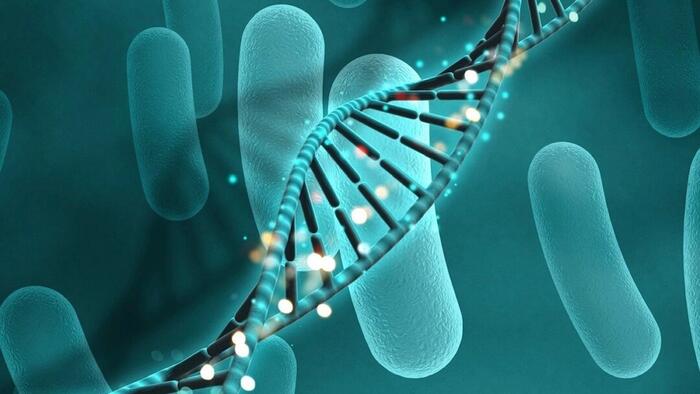 NextImg:COVID-19 Linked To 'Alarming Rise' Of Rare And Highly Lethal Fungal Infection