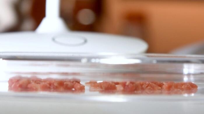NextImg:Florida Becomes First State To Ban 'Fake Meat'