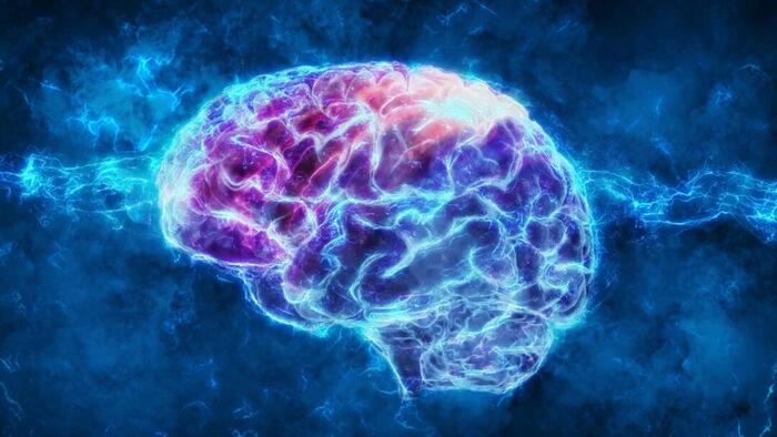 NextImg:Dietary Choices Have 'Profound' Impact On Brain Health: Study